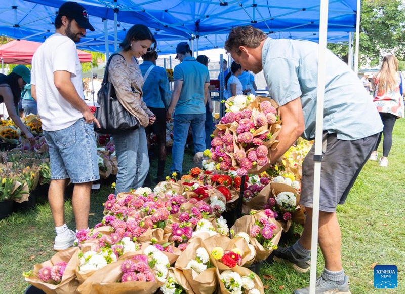 People visit the Toronto Flower Market in Toronto, Canada, on Sept. 12, 2026. The traditional monthly flower market runs here from May through October, for one day each month. (Photo by Zou Zheng/Xinhua)