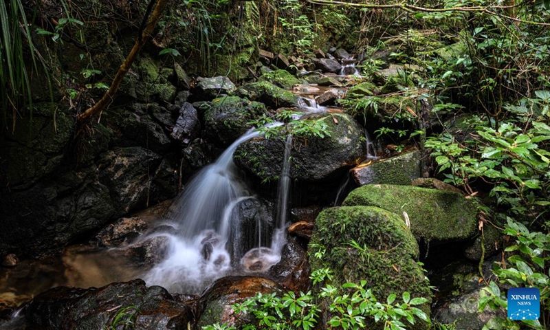 This photo taken on Sept. 9, 2026 shows a stream at the Diaoluoshan section of the Hainan Tropical Rainforest National Park in south China's Hainan Province. The scenic ring road surrounding the Hainan Tropical Rainforest National Park passes through nine cities and counties in Hainan, including Lingshui, Baoting, Ledong and Changjiang, with a total length of 466 kilometers. The ring road was officially opened to traffic in December 2024.
This road connects the beautiful scenery of the mountainous areas in the central and southern parts of Hainan Island and builds a green corridor that balances ecological protection and cultural tourism development.
At present, many tourists come to cycle and drive on the road, boosting tourism-related consumption including accommodation, catering, specialty agricultural products, and outdoor culture and tourism along the road. Photo: Xinhua