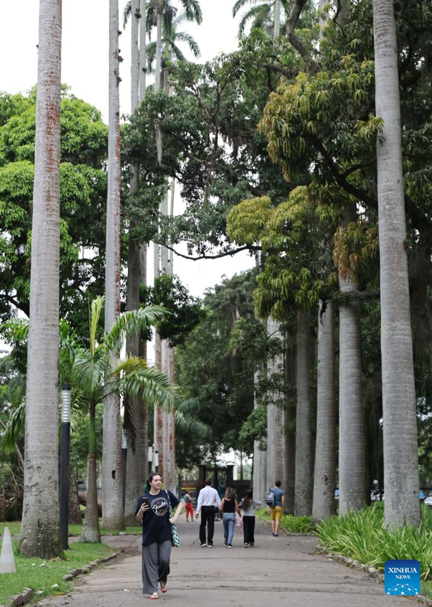 People take walks at Catete Palace in Rio de Janeiro, Brazil, Sept. 12, 2026. The Museum of the Republic is housed in Catete Palace in Rio de Janeiro, which served as Brazil's presidential palace from 1897 to 1960. (Xinhua/Jin Haoyuan)