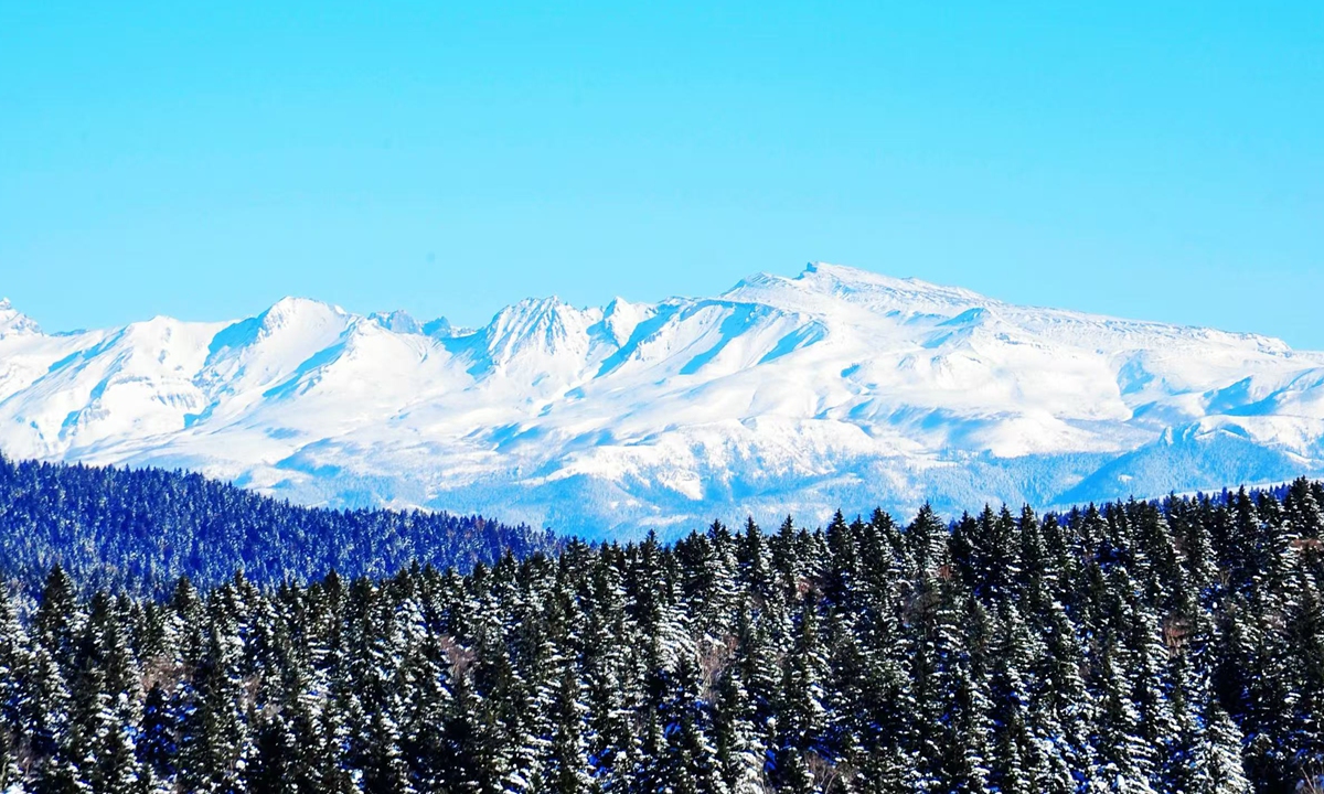 A view of the main peak of Wangtian'e in the Changbai Mountain National Nature Reserve