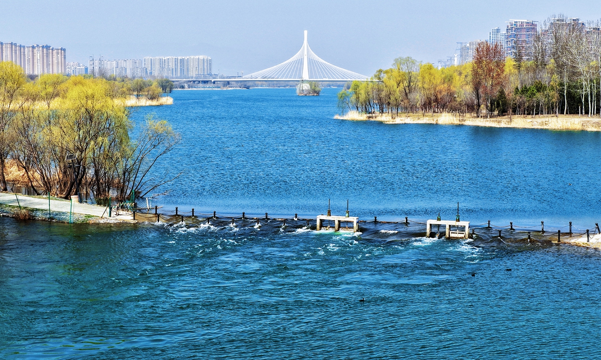 Photo shows a wetland park along the Fenhe River in Taiyuan, north China's Shanxi province. Photo: Courtesy of the publicity department of Taiyuan