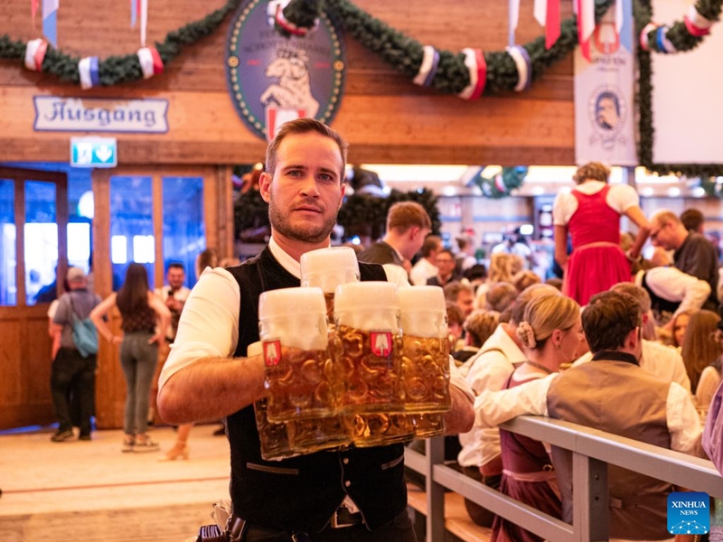 A staff member carries cups of beer at the Oktoberfest in Munich, Germany, Sept. 19, 2026. The 191st Oktoberfest, one of the largest folk festivals in Germany, opened on Saturday in Munich, with mayor Dominik Krause tapping the first barrel of beer as a tradition. This year's festival will last until Oct. 4. Photo: Xinhua
