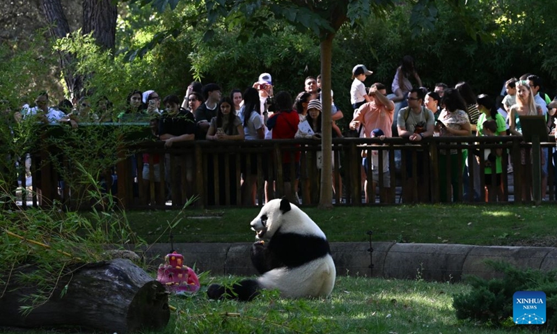 Visitors watch the giant panda Jin Xi eating his birthday cake at Madrid Zoo in Madrid, Spain, on Sept. 19, 2026. The sixth birthday party of the giant panda couple Jin Xi and Zhu Yu was held here on Saturday. (Xinhua/Cheng Min)