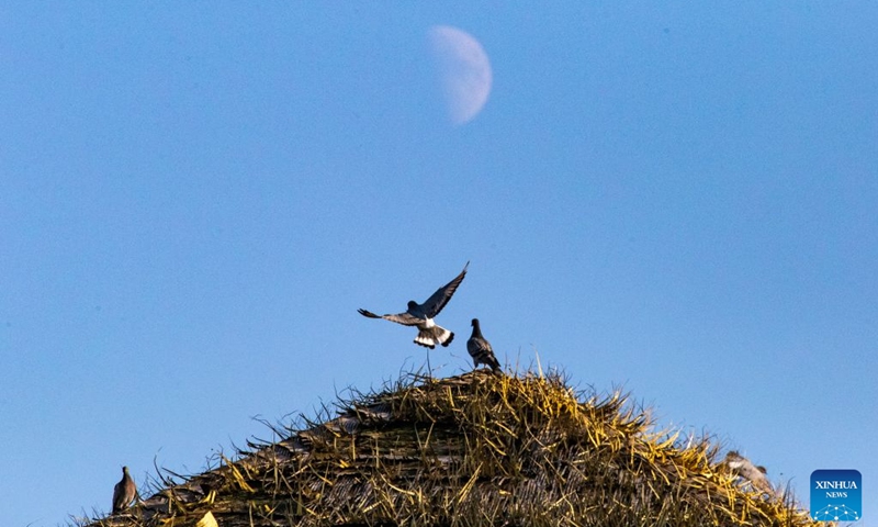 This photo taken on Sept. 19, 2026 shows the first quarter moon in the sky in Fujin City, northeast China's Heilongjiang Province. Photo: Xinhua