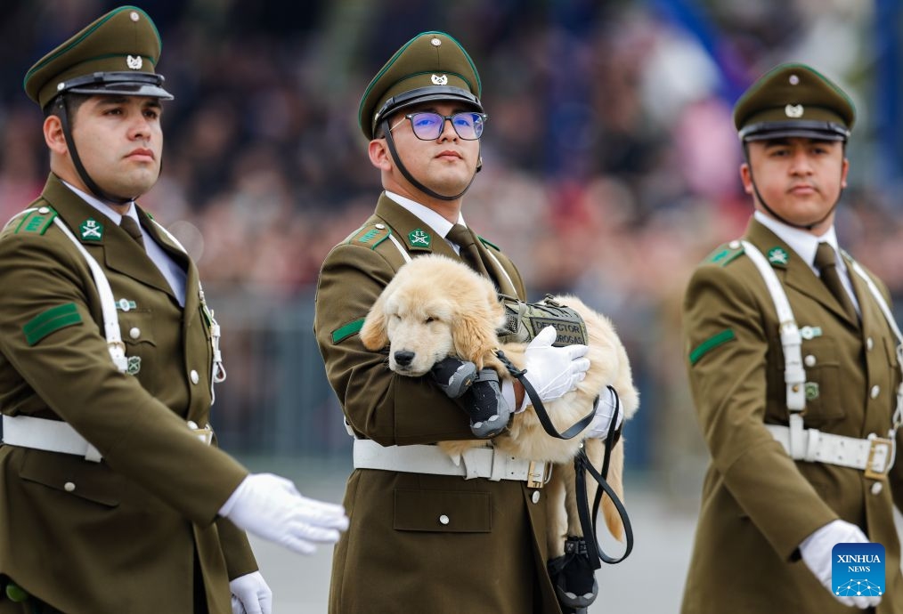 An annual military parade is held to celebrate the Day of the Glories of the Army at the O'Higgins park, in Santiago, Chile, Sept. 19, 2026. (Xinhua/Zhou Jiayi)