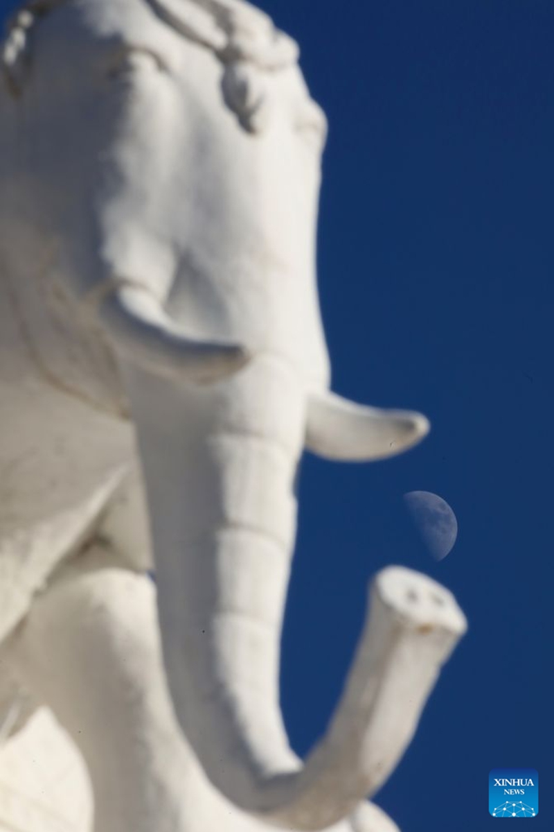 This photo taken on Sept. 19, 2026 shows the first quarter moon in the sky in Jinghong City, southwest China's Yunnan Province. Photo: Xinhua