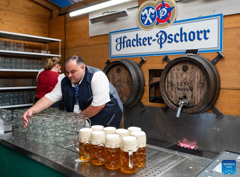 A staff member prepares cups of beer at the Oktoberfest in Munich, Germany, Sept. 19, 2026. The 191st Oktoberfest, one of the largest folk festivals in Germany, opened on Saturday in Munich, with mayor Dominik Krause tapping the first barrel of beer as a tradition. This year's festival will last until Oct. 4. Photo: Xinhua