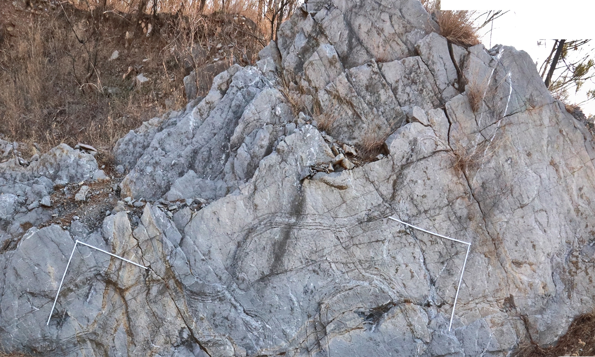 Fossilized tracks of a previously unknown giant horseshoe crab species Photo: Courtesy of Xing Lida