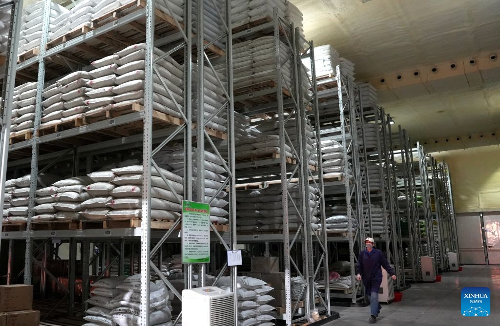 This photo taken on Sept. 20, 2026 shows a low-temperature seed warehouse at Taijin Seed Industry Co., Ltd. in Pingluo County, northwest China's Ningxia Hui Autonomous Region. Pingluo County has emerged as a major seed production hub, benefiting from abundant sunlight, wide day-night temperature variations and well-developed agricultural infrastructure. (Xinhua/Liu Hai)