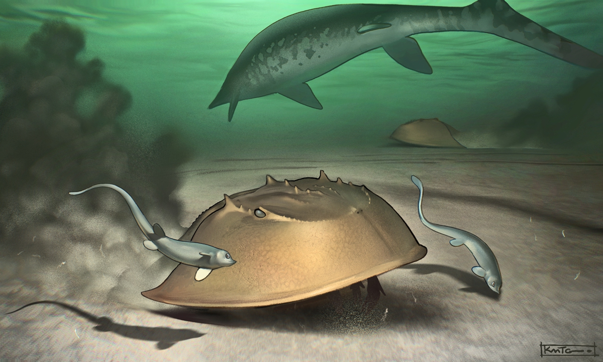 Restored image of giant horseshoe crab Photo: Courtesy of Xing Lida