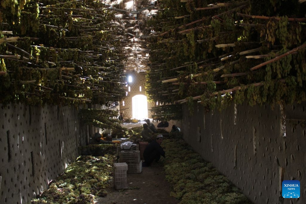 This photo taken on Aug. 27, 2026 shows an internal view of a drying room in Kandahar, Afghanistan. (Photo by Argand/Xinhua)