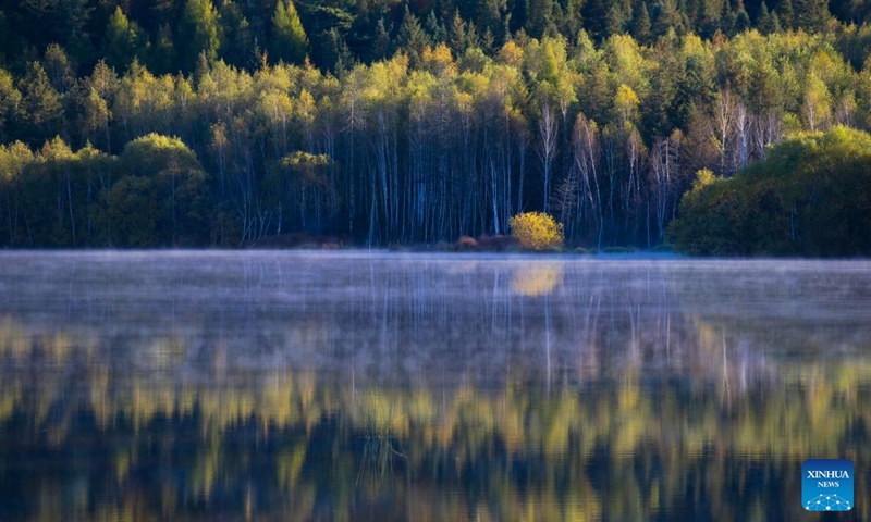This photo taken on Sept. 24, 2026 shows the autumn scenery of Wuying Town of Fenglin County in Yichun, northeast China's Heilongjiang Province. Photo: Xinhua