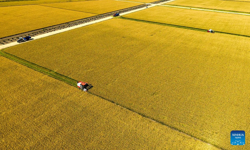 An aerial drone photo taken on Sept. 21, 2026 shows harvesters working in a paddy rice field of a farm under Beidahuang Group in northeast China's Heilongjiang Province. (Photo by Huang Yongxing/Xinhua)