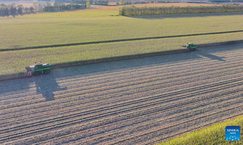 An aerial drone photo taken on Sept. 21, 2026 shows harvesters working in a corn field of a farm under Beidahuang Group in northeast China's Heilongjiang Province. (Photo by Zhang Hongxi/Xinhua)