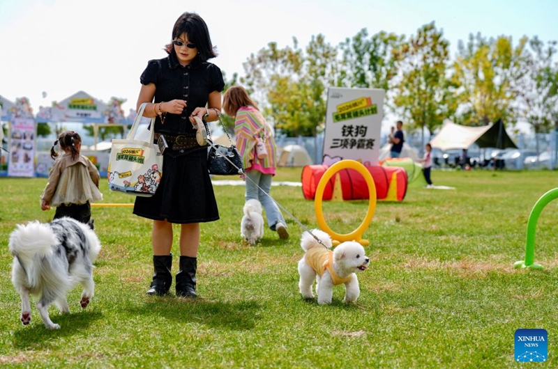 Citizens and pet animals have fun during a pet-themed event held in Yinchuan, northwest China's Ningxia Hui Autonomous Region, Sept. 26, 2026. A pet-themed event was held here from Friday to Saturday. This event, aligning with emerging trends favored by young people, features pet competitions, trendy markets, and Mid-Autumn Festival cultural experiences. (Xinhua/Yang Zhisen)