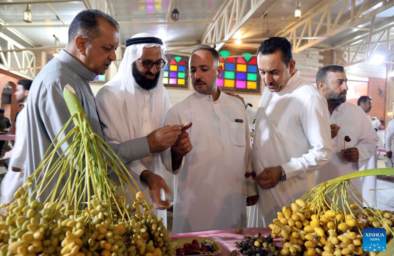Visitors evaluate dates displayed at an annual date festival in Salahuddin Province, Iraq, on Sept. 25, 2026. (Xinhua/Khalil Dawood)