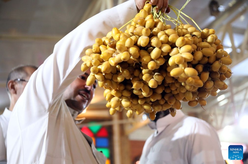 A man checks a cluster of dates displayed at an annual date festival in Salahuddin Province, Iraq, on Sept. 25, 2026. (Xinhua/Khalil Dawood)