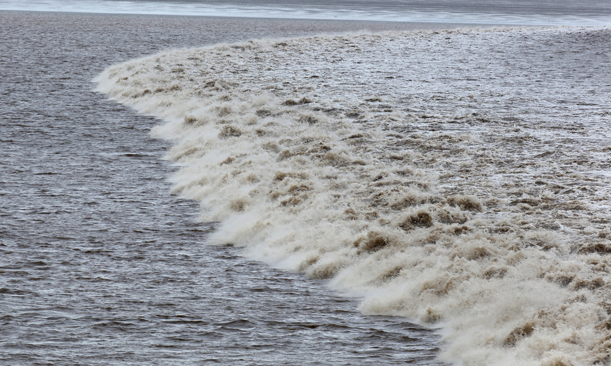 Qiantang River tidal bore Photo: VCG