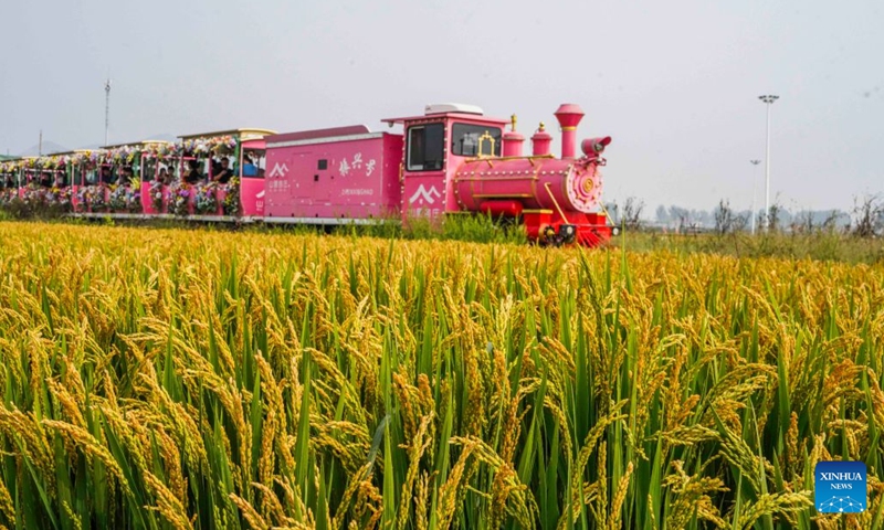 Tourists take a sightseeing train through paddy fields at a scenic area in Zunhua, north China's Hebei Province, Sept. 26, 2026. Chinese people are on a three-day holiday for the Mid-Autumn Festival, which fell on Sept. 25 this year. (Photo by Liu Mancang/Xinhua)