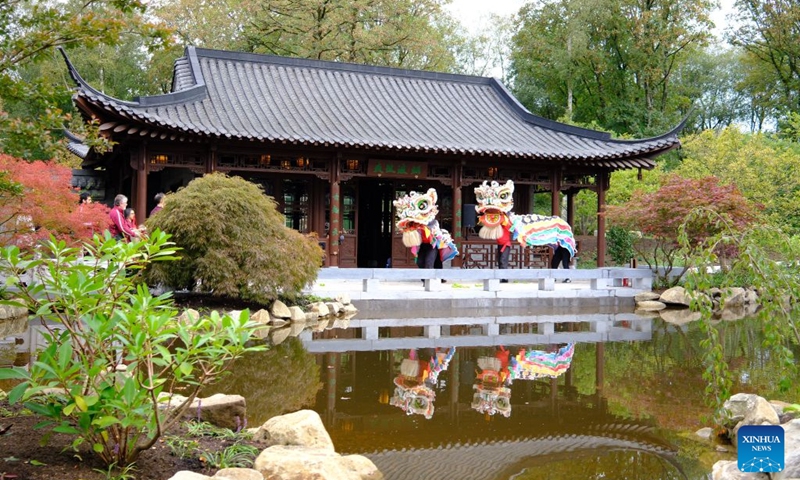 Photo taken on Sept. 25, 2026 shows a traditional Chinese lion dance performance during the opening ceremony of the Yangzhou Scholars' Garden at the Royal Horticultural Society (RHS) Garden Bridgewater in Salford, Britain. After nearly eight years in the making, a Chinese garden described by authorities as the largest of its kind in Europe has opened in Salford, bringing a distinctive Chinese presence to the horticultural landscape of northern England. (Xinhua/Zhao Jiasong)