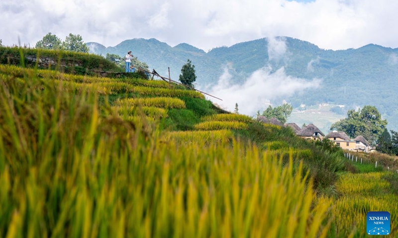 People enjoy the scenery of terraced fields in Aichun Village of Yuanyang County in Honghe Hani and Yi Autonomous Prefecture, southwest China's Yunnan Province, Sept. 21, 2026. (Xinhua/Hu Chao)