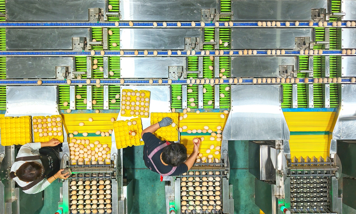 Workers sort and inspect eggs at the sorting workshop of a company in Yiyang, Central China's Henan Province, on September 29, 2026, stepping up efforts to ensure market supply for the National Day holidays. China is poised to ensure adequate supply of daily necessities and stable prices during the upcoming holidays. Photo: VCG