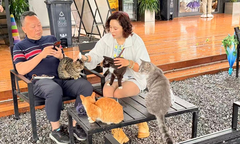 Tourists interact with cats at Chongqing Firefly Bay Cat Harbor Park in Chongqing, southwest China, Oct. 4, 2026. (Xinhua/Wu Yanxia)
