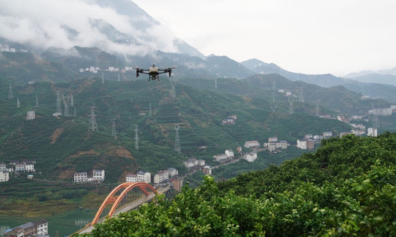 A drone monitors an agricultural demonstration park in Zigui County of Yichang, central China's Hubei Province, Sept. 18, 2026.  (Xinhua/Lu Jinbo)