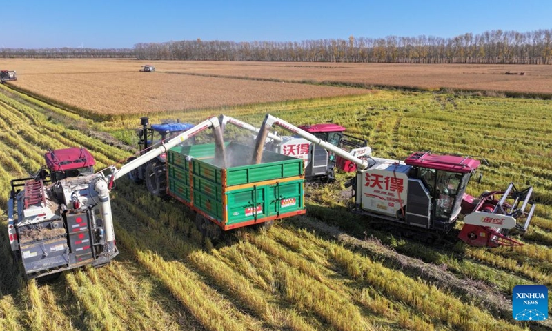 A drone photo taken on Oct. 6, 2026 shows harvesters working in a paddy field of a farm under Beidahuang Group in northeast China's Heilongjiang Province. China's top grain producer Heilongjiang Province has witnessed a bountiful harvest during the National Day holiday. Photo: Xinhua