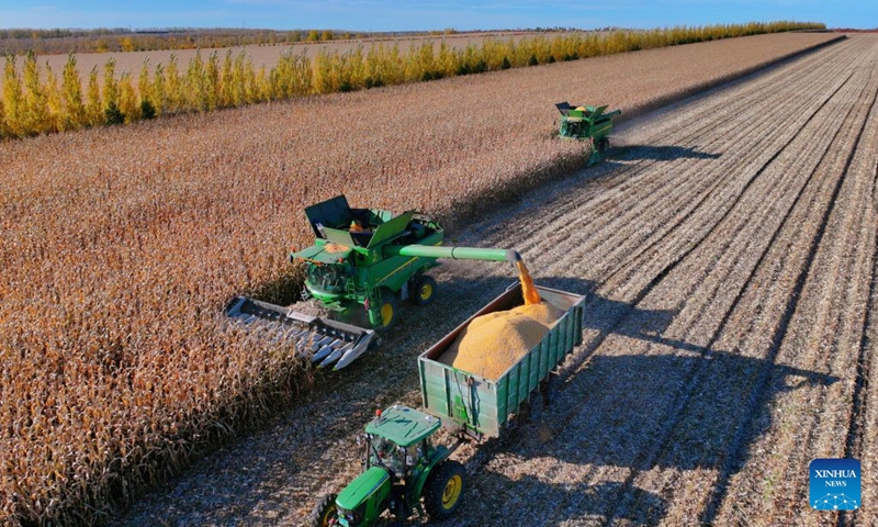 A drone photo taken on Oct. 5, 2026 shows harvesters working in a corn field of a farm under Beidahuang Group in northeast China's Heilongjiang Province. China's top grain producer Heilongjiang Province has witnessed a bountiful harvest during the National Day holiday. Photo: Xinhua