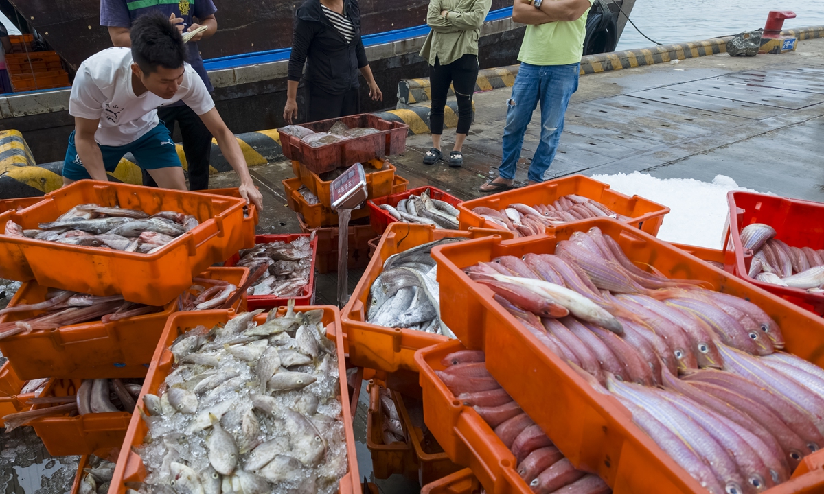 Fishermen unload a fresh catch at the Wuchang fishing port in Wanning, Hainan, a tropical island province in South China, on October 7, 2026, the last day of the National Day holiday period. Photo: VCG