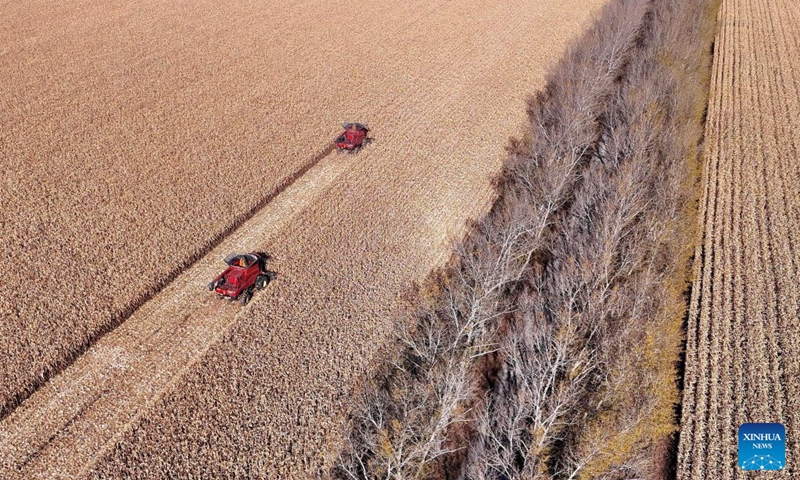 An aerial drone photo taken on Oct. 6, 2026 shows harvesters working in a corn field of a farm under Beidahuang Group in northeast China's Heilongjiang Province. China's top grain producer Heilongjiang Province has witnessed a bountiful harvest during the National Day holiday. Photo: Xinhua