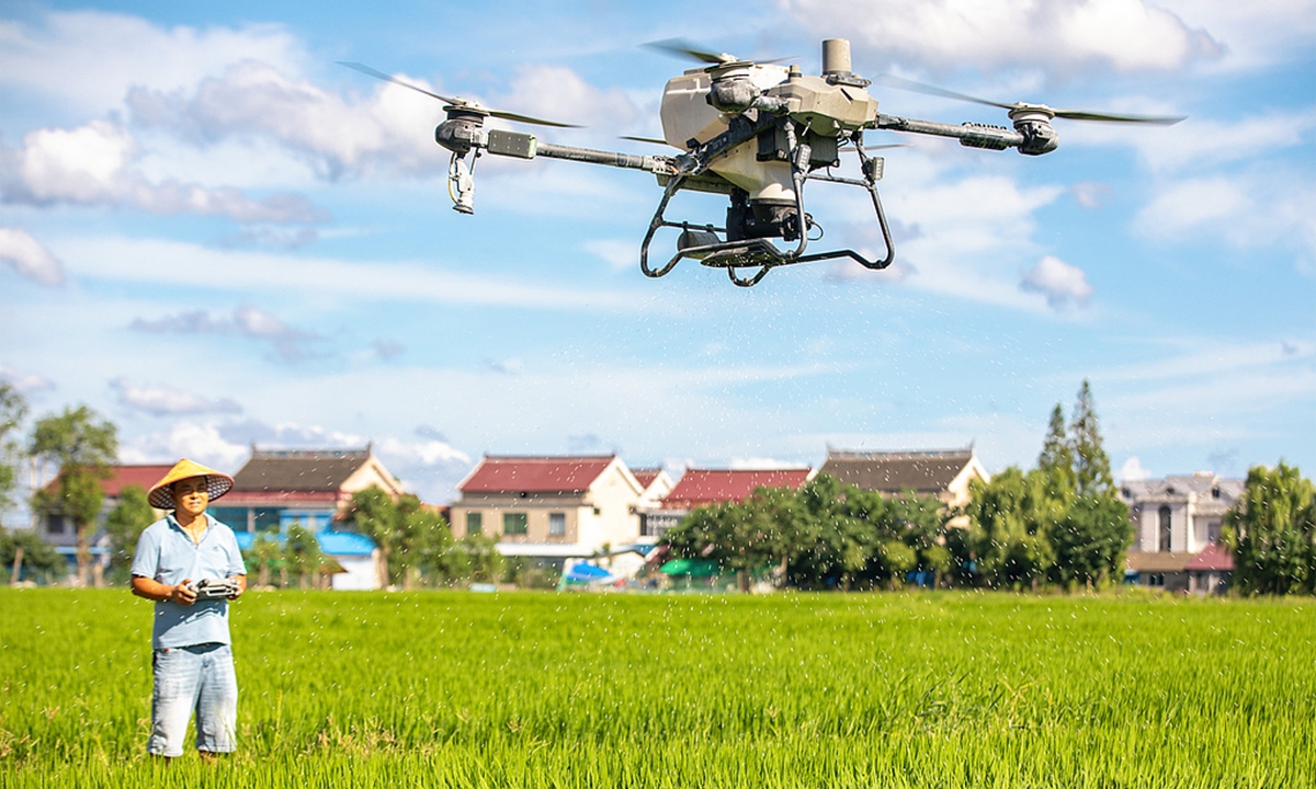 A farmer uses a crop-protection drone to apply fertilizer to rice in Nantong, East China's Jiangsu Province, on August 24, 2026. Photo: VCG