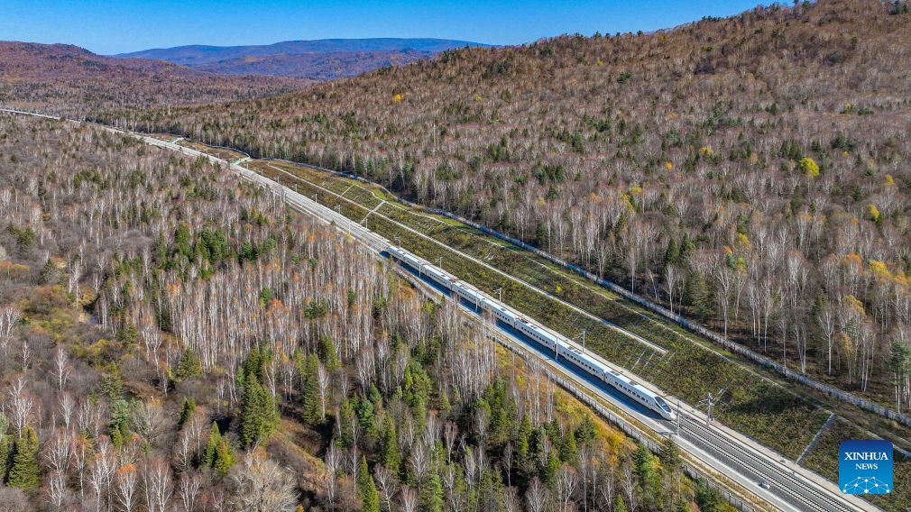An aerial drone photo taken on Oct. 6, 2026 shows a bullet train of Harbin-Yichun high-speed railway running through forests in autumn scenery in Yichun, northeast China's Heilongjiang Province. The Harbin-Yichun high-speed railway, China's northernmost high-speed railway which officially entered service on Sept. 28, underlines the country's efforts to direct more transport infrastructure investment toward border areas, forest regions and less-developed regions, while helping boost development and prosperity in northeast China's border regions. (Photo by Yuan Yong/Xinhua)
