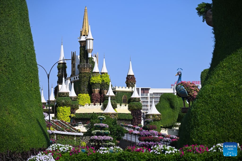 This photo taken on Oct. 8, 2026 shows a view of Dubai Miracle Garden in Dubai, the United Arab Emirates. Dubai Miracle Garden opened Thursday to the public for its 15th season. Featuring colorful floral displays and large-scale installations, the garden is a popular tourist attraction in Dubai. (Xinhua/Wang Zecong)