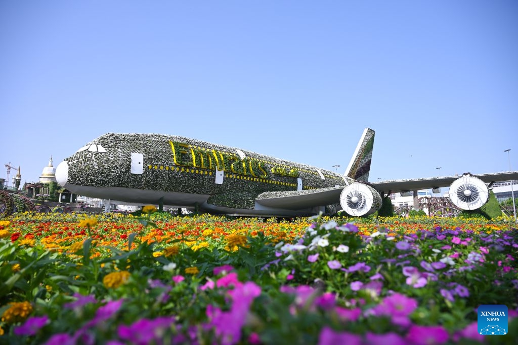 This photo taken on Oct. 8, 2026 shows a flower-decorated aircraft model at Dubai Miracle Garden in Dubai, the United Arab Emirates. Dubai Miracle Garden opened Thursday to the public for its 15th season. Featuring colorful floral displays and large-scale installations, the garden is a popular tourist attraction in Dubai. (Xinhua/Wang Zecong)