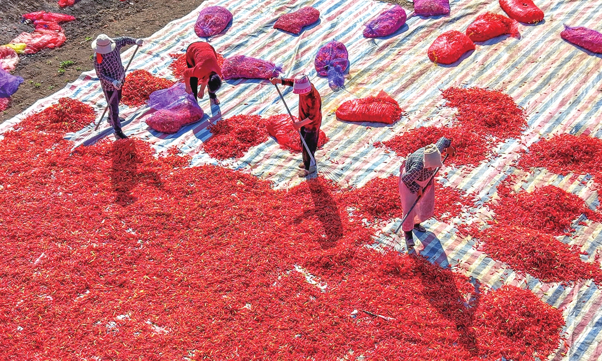 Farmers dry chili peppers in Zhangtan Village, Bozhou, East China's Anhui Province, taking advantage of sunny weather ahead of the Cold Dew solar term on October 7, 2026.