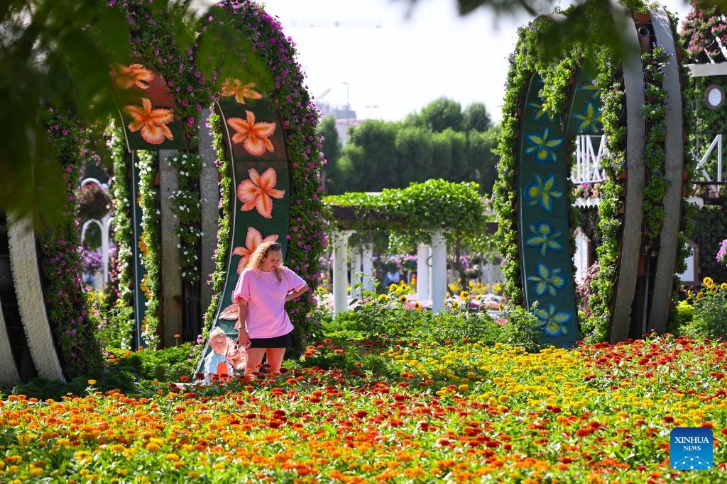 People visit Dubai Miracle Garden in Dubai, the United Arab Emirates, Oct. 8, 2026. Dubai Miracle Garden opened Thursday to the public for its 15th season. Featuring colorful floral displays and large-scale installations, the garden is a popular tourist attraction in Dubai. (Xinhua/Wang Zecong)