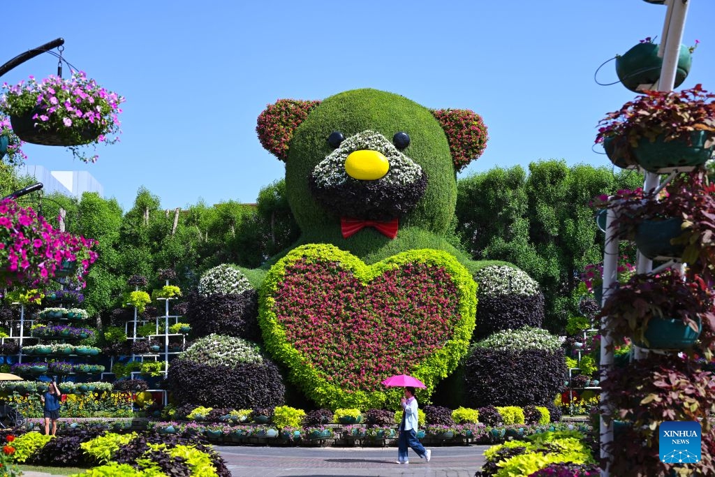 People visit Dubai Miracle Garden in Dubai, the United Arab Emirates, Oct. 8, 2026. Dubai Miracle Garden opened Thursday to the public for its 15th season. Featuring colorful floral displays and large-scale installations, the garden is a popular tourist attraction in Dubai. (Xinhua/Wang Zecong)