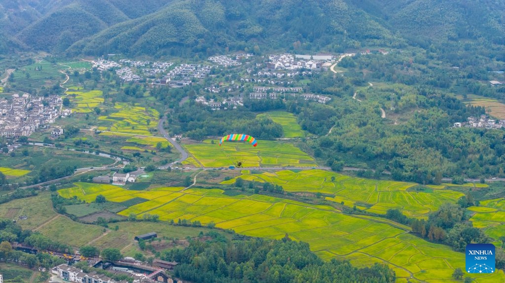 An aerial drone photo taken on Oct. 5, 2026 shows tourists enjoying powered paragliding in Hongcun Village of Yixian County, Huangshan City, east China's Anhui Province. (Photo by Fan Chengzhu/Xinhua)