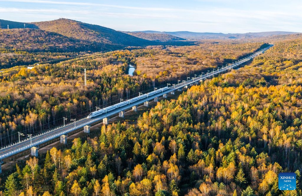 An aerial drone photo taken on Oct. 4, 2026 shows a bullet train of Harbin-Yichun high-speed railway running through forests in autumn scenery in Yichun, northeast China's Heilongjiang Province. The Harbin-Yichun high-speed railway, China's northernmost high-speed railway which officially entered service on Sept. 28, underlines the country's efforts to direct more transport infrastructure investment toward border areas, forest regions and less-developed regions, while helping boost development and prosperity in northeast China's border regions. (Photo by Li Jiaxing/Xinhua)