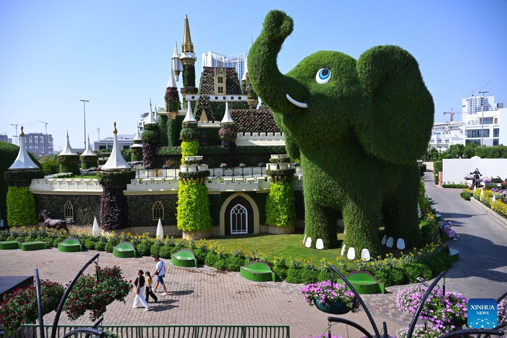 People visit Dubai Miracle Garden in Dubai, the United Arab Emirates, Oct. 8, 2026. Dubai Miracle Garden opened Thursday to the public for its 15th season. Featuring colorful floral displays and large-scale installations, the garden is a popular tourist attraction in Dubai. (Xinhua/Wang Zecong)