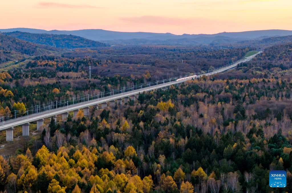 An aerial drone photo taken on Oct. 6, 2026 shows a bullet train of Harbin-Yichun high-speed railway running through forests in autumn scenery in Yichun, northeast China's Heilongjiang Province. The Harbin-Yichun high-speed railway, China's northernmost high-speed railway which officially entered service on Sept. 28, underlines the country's efforts to direct more transport infrastructure investment toward border areas, forest regions and less-developed regions, while helping boost development and prosperity in northeast China's border regions. (Photo by Li Jiaxing/Xinhua)