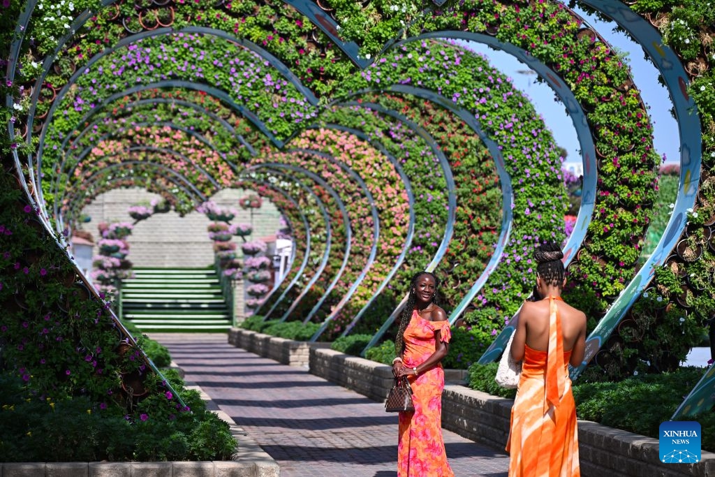 A tourist poses for photos at Dubai Miracle Garden in Dubai, the United Arab Emirates, Oct. 8, 2026. Dubai Miracle Garden opened Thursday to the public for its 15th season. Featuring colorful floral displays and large-scale installations, the garden is a popular tourist attraction in Dubai. (Xinhua/Wang Zecong)