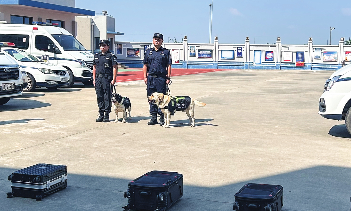 Immigration officers train police dogs to detect narcotics at Yangshan Immigration Inspection Station on August 26, 2026 Photo: Huang Lanlan/GT