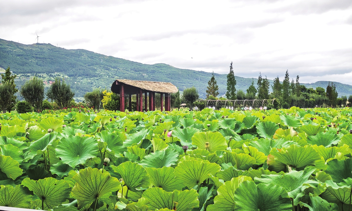 The Qilin Water Town in Qujing Photo: Lu Wenao/Global Times
