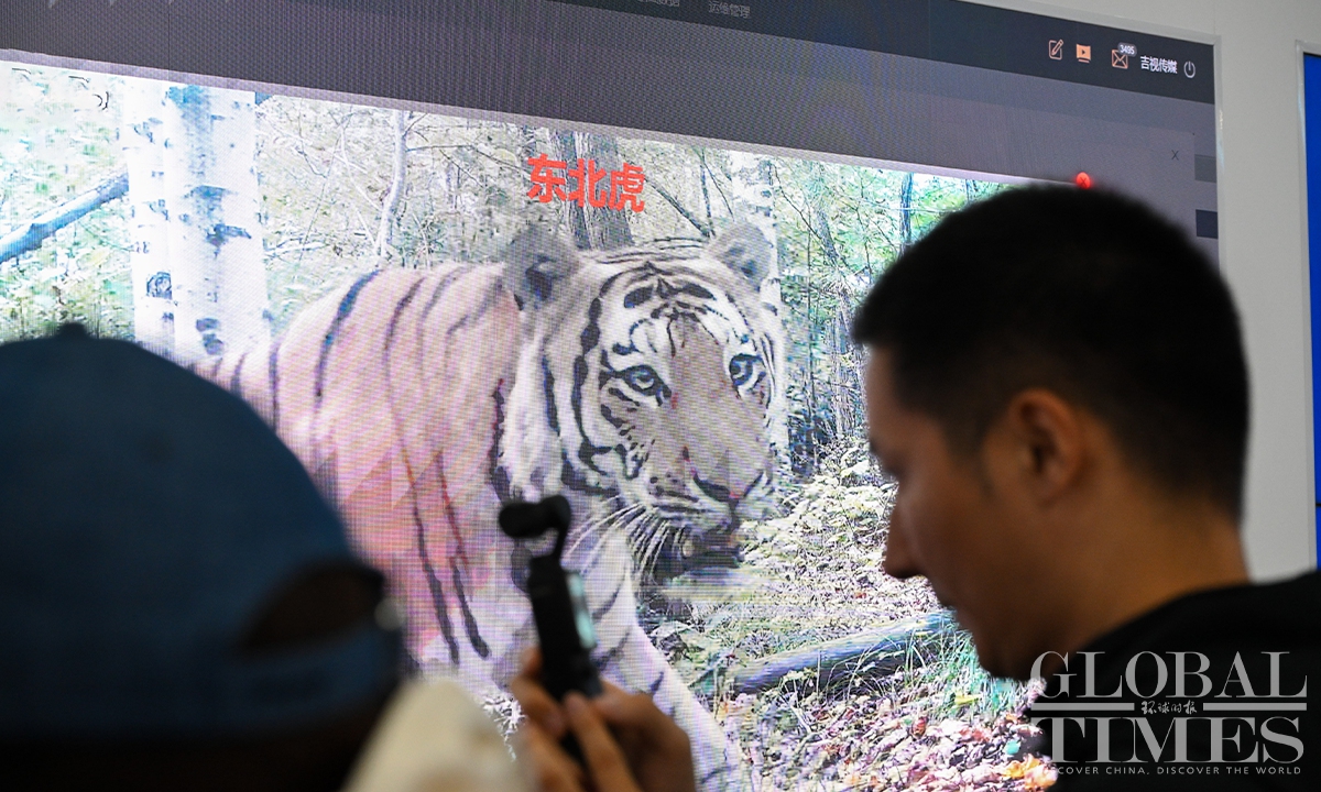 Media explore wildlife monitoring system protecting tigers and leopards in NE China (Photo: Chen Tao/GT)