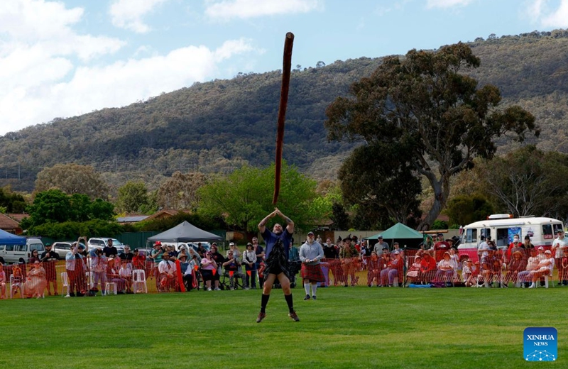 A competitor takes part in the caber toss competition during the Canberra Highland Gathering in Canberra, Australia, on Oct. 10, 2026. The Scottish cultural event featuring traditional sports, bagpipe and drum performances, dance and traditional food was held in Canberra on Saturday. (Photo by Chu Chen/Xinhua)