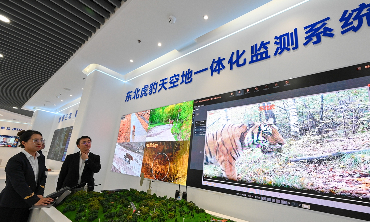 Journalists visit Jishi Media in Changchun, Northeast China's Jilin Province, on October 11, 2026, to learn how an integrated satellite, aerial and ground monitoring system supports Siberian tiger and Amur leopard conservation and tracks ecological conditions in Northeast China Tiger and Leopard National Park. Photo: Chen Tao/Global Times