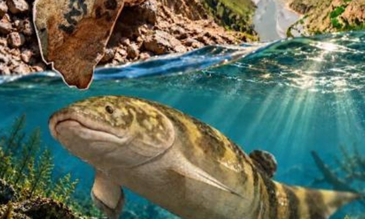 China-Australia team identifies 360-million-year-old lungfish species, recalling the ‘Himalayan fossil hoax’